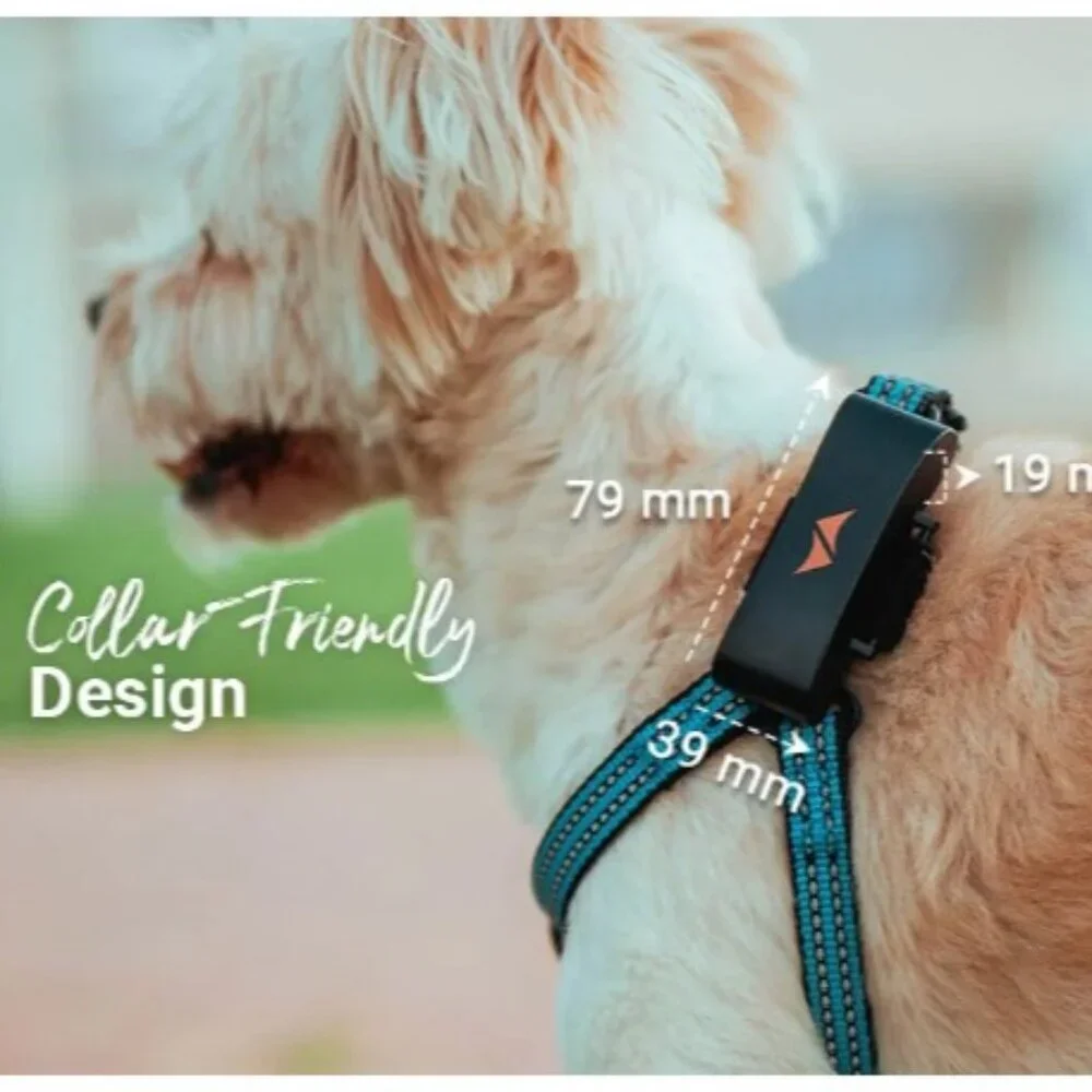 PAJ PET Finder 4G GPS Dog Tracker Black IP67 Waterproof Real-Time Tracking NIB